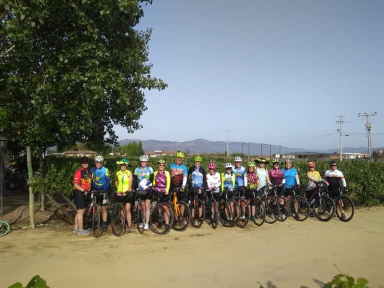 Biking Colchagua Wine Valley