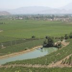 Aconcagua Valley Wine Tour