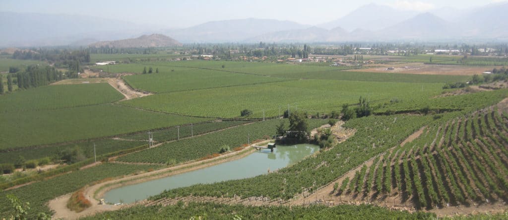 Aconcagua Valley Wine Tour