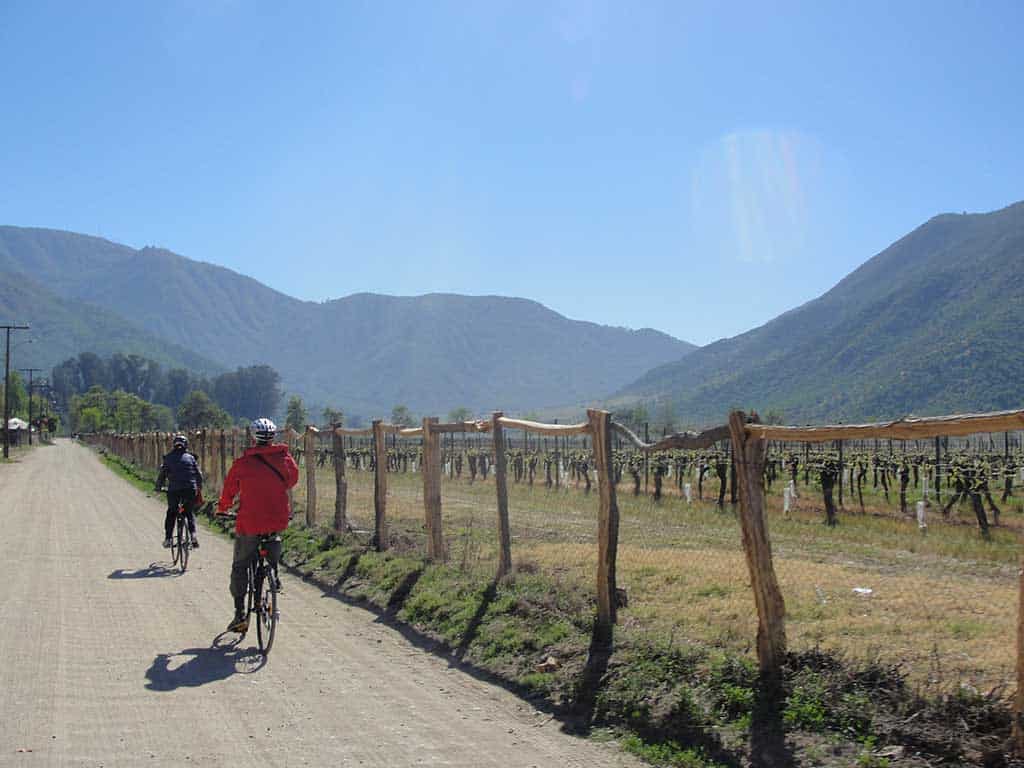 Cycling Colchagua Wine Valley