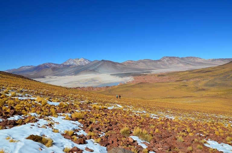 Tailor Made Atacama Private Tours