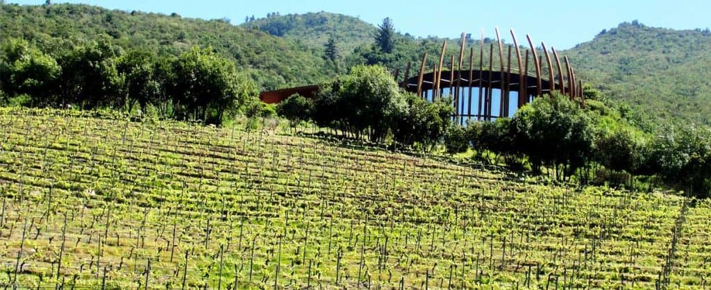 Chile Wine Luxury tour