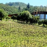 Chile Wine Luxury tour