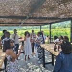 Colchagua Deluxe wine tour