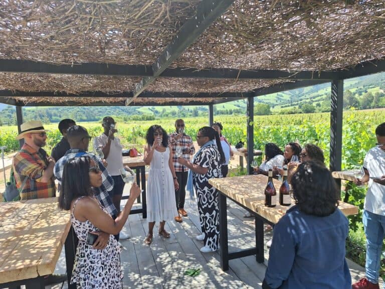 Colchagua Deluxe wine tour