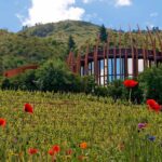 Clos Apalta and Montes Tour
